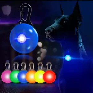 Pet safety light